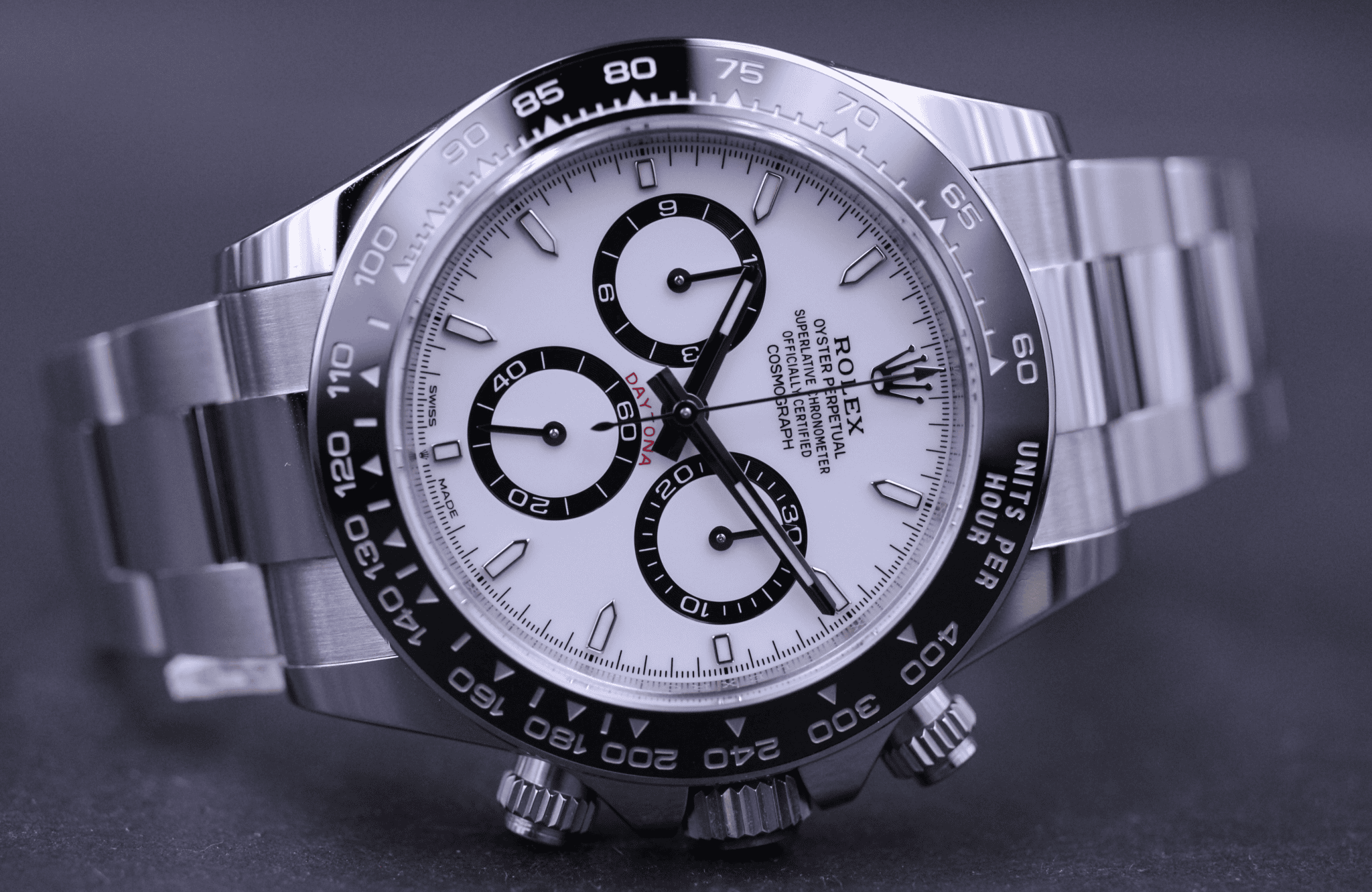panda-2024-2 (1)